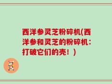 西洋参灵芝粉碎机(西洋参和灵芝的粉碎机：打破它们的壳！)