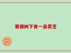 菩提树下有一朵灵芝