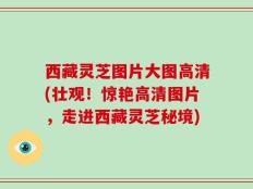 西藏灵芝图片大图高清(壮观！惊艳高清图片，走进西藏灵芝秘境)