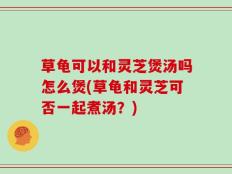草龟可以和灵芝煲汤吗怎么煲(草龟和灵芝可否一起煮汤？)