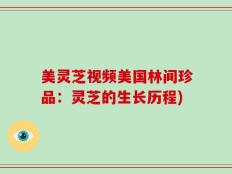 美灵芝视频美国林间珍品：灵芝的生长历程)