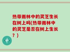 热带雨林中的灵芝生长在树上吗(热带雨林中的灵芝是否在树上生长？)