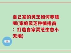 自己家的灵芝如何养殖呢(家庭灵芝种植指南：打造自家灵芝生态小天地)