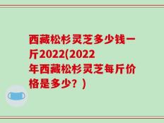 西藏松杉灵芝多少钱一斤2022(2022年西藏松杉灵芝每斤价格是多少？)