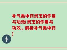 补气类中药灵芝的作用与功效(灵芝的作用与功效，解析补气类中药)