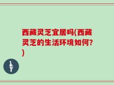 西藏灵芝宜居吗(西藏灵芝的生活环境如何？)
