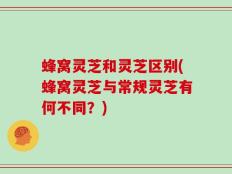 蜂窝灵芝和灵芝区别(蜂窝灵芝与常规灵芝有何不同？)