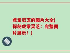 虎掌灵芝的图片大全(探秘虎掌灵芝：完整图片展示！)
