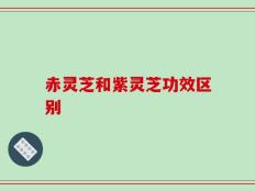 赤灵芝和紫灵芝功效区别