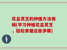 花盆灵芝的种植方法视频(学习种植花盆灵芝，轻松掌握这些步骤)