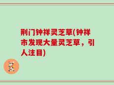 荆门钟祥灵芝草(钟祥市发现大量灵芝草，引人注目)