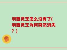 羽西灵芝怎么没有了(羽西灵芝为何突然消失？)