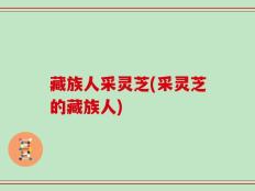 藏族人采灵芝(采灵芝的藏族人)
