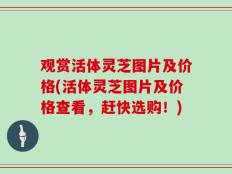 观赏活体灵芝图片及价格(活体灵芝图片及价格查看，赶快选购！)