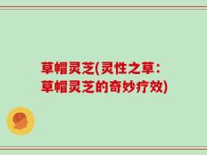 草帽灵芝(灵性之草：草帽灵芝的奇妙疗效)