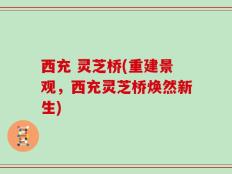 西充 灵芝桥(重建景观，西充灵芝桥焕然新生)