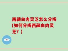 西藏白肉灵芝怎么分辨(如何分辨西藏白肉灵芝？)