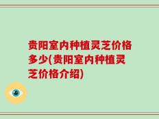 贵阳室内种植灵芝价格多少(贵阳室内种植灵芝价格介绍)