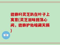 貔貅叼灵芝趴在叶子上寓意(灵芝滋味回荡心间，貔貅护佑暗藏天籁)