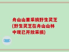 舟山山里采摘野生灵芝(野生灵芝在舟山山林中现已开放采摘)