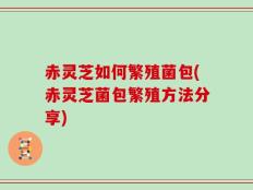 赤灵芝如何繁殖菌包(赤灵芝菌包繁殖方法分享)