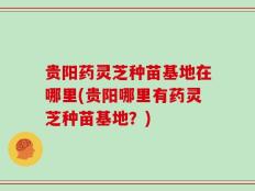 贵阳药灵芝种苗基地在哪里(贵阳哪里有药灵芝种苗基地？)