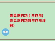 赤灵芝的功効与作用(赤灵芝的功效与作用详解)