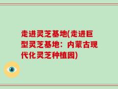 走进灵芝基地(走进巨型灵芝基地：内蒙古现代化灵芝种植园)