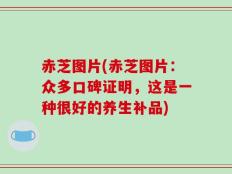 赤芝图片(赤芝图片：众多口碑证明，这是一种很好的养生补品)