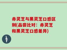 赤灵芝与黑灵芝口感区别(品尝比对：赤灵芝和黑灵芝口感差异)