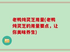 老鸭炖灵芝用量(老鸭炖灵芝的用量要点，让你美味养生)