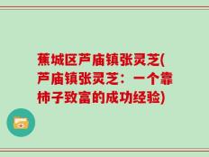 蕉城区芦庙镇张灵芝(芦庙镇张灵芝：一个靠柿子致富的成功经验)