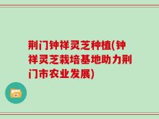荆门钟祥灵芝种植(钟祥灵芝栽培基地助力荆门市农业发展)