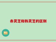 赤灵芝和韩灵芝的区别