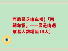 西藏灵芝山车祸(「西藏车祸」——灵芝山遇难者人数增至14人)