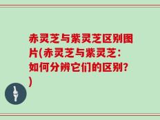 赤灵芝与紫灵芝区别图片(赤灵芝与紫灵芝：如何分辨它们的区别？)