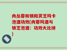 肉丛蓉和锁阳灵芝玛卡泡酒功效(肉蓉玛酒与锁芝泡酒：功效大比拼)