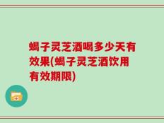 蝎子灵芝酒喝多少天有效果(蝎子灵芝酒饮用有效期限)