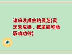 谁采没成熟的灵芝(灵芝未成熟，被采摘可能影响功效)