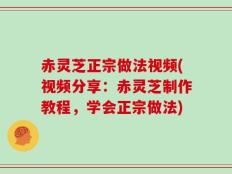 赤灵芝正宗做法视频(视频分享：赤灵芝制作教程，学会正宗做法)