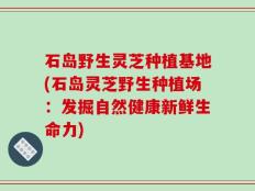 石岛野生灵芝种植基地(石岛灵芝野生种植场：发掘自然健康新鲜生命力)