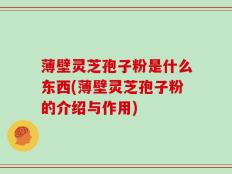 薄壁灵芝孢子粉是什么东西(薄壁灵芝孢子粉的介绍与作用)