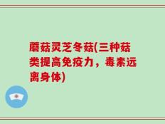 蘑菇灵芝冬菇(三种菇类提高免疫力，毒素远离身体)