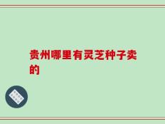贵州哪里有灵芝种子卖的