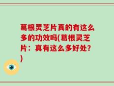葛根灵芝片真的有这么多的功效吗(葛根灵芝片：真有这么多好处？)