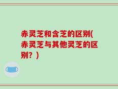 赤灵芝和含芝的区别(赤灵芝与其他灵芝的区别？)