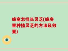 蜂窝怎样长灵芝(蜂房里种植灵芝的方法及效果)