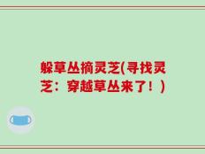躲草丛摘灵芝(寻找灵芝：穿越草丛来了！)