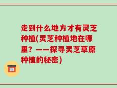 走到什么地方才有灵芝种植(灵芝种植地在哪里？——探寻灵芝草原种植的秘密)