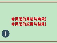 赤灵芝的用途与功效(赤灵芝的应用与益处)